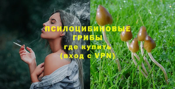 ГАЛЛЮЦИНОГЕННЫЕ ГРИБЫ Белоозёрский