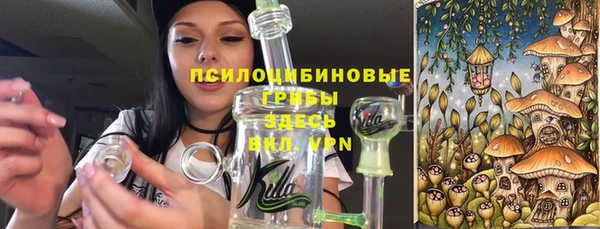 ГАЛЛЮЦИНОГЕННЫЕ ГРИБЫ Белоозёрский