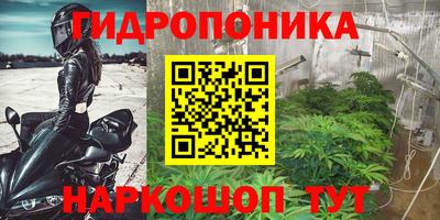 индика Балахна
