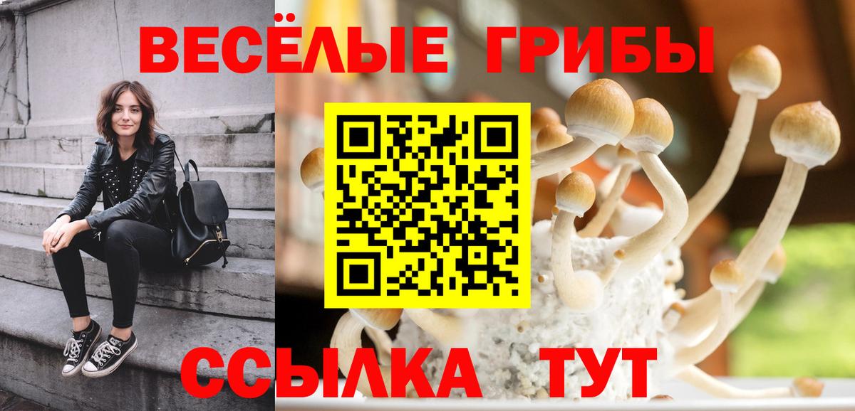 Псилоцибиновые грибы MAGIC MUSHROOMS Горячий Ключ