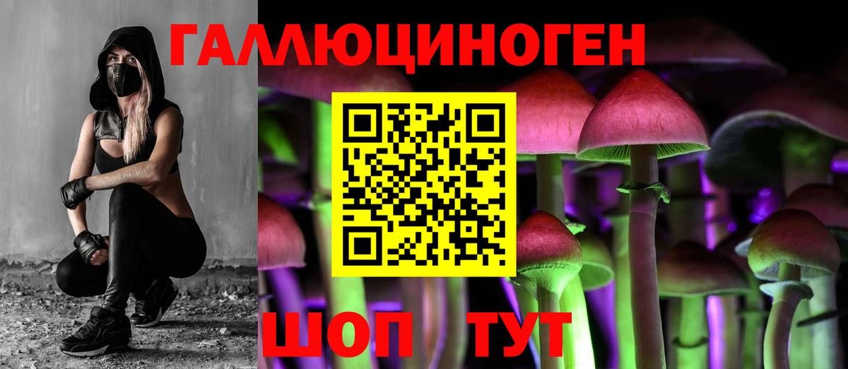 Галлюциногенные грибы Cubensis  Псилоцибиновые грибы ЛСД  Горячий Ключ 