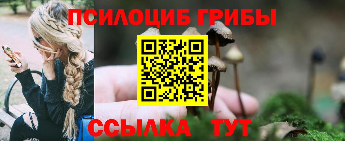 купить   Псилоцибиновые грибы Psilocybine cubensis  Вход с VPN  Горячий Ключ 